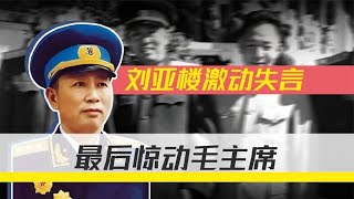 刘亚楼放言“空军我说了算”，被人密告中央，毛主席反应耐人寻味