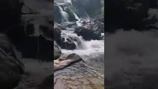 Mothugudem #nature #waterfall #youtubeshorts #ashortaday #shorts