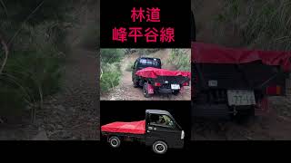 野迫川村、林道、峰平谷線、再チャレンジ#キャリイ4WD#shorts ￼