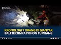 Kronologi 7 Orang di Gianyar Bali Tertimpa Pohon Tumbang saat Berada di Warung Makan, 1 Korban Tewas