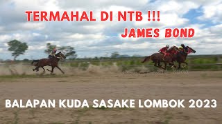 Lari Kilat: Kuda Termahal di NTB James Bond Membawa Kemenangan!