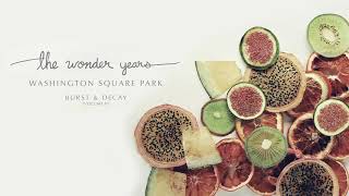 The Wonder Years - Washington Square Park (Visual)