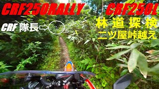 【CRF250RALLY】林道探検⑤  二ツ屋峠越え(前編)　一本道酷道の倒木越え編  　CRF250ラリー MD47 insta360 one x2