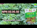 50 से 60 दिन के आलू का साइज कैसे बढ़ाएं आलू मोटा करने की दवा aloo ka size kaise badhaen