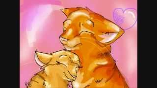 warrior cats couples (firestar and sandstorm)