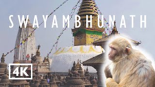 Swayambhunath | Monkey Temple | Walking Tour | 4k