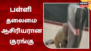 Madhya Pradesh | தலைமை ஆசிரியர் நாற்காலியில் அமர்ந்து குரங்குகள் சேட்டை | Monkeys