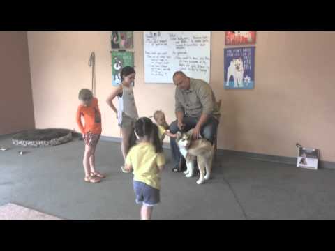 How to train a dog to stop biting, nipping, and mouthing How to train a dog to stop biting, nipping, and mouthing