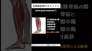 足首捻挫の治療　　　　　Ankle sprain treatment