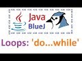 #21 'Do...While' - Computer Applications - Java BlueJ - Class 10 - ICSE