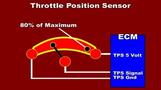 Throttle Position Sensor Parameter  how to test a throttle position sensor