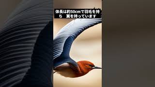 古代の生物 - 始祖鳥