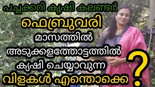 പച്ചക്കറി കൃഷി കലണ്ടർ || ഫെബ്രുവരിയിൽ എന്തൊക്കെ വിളകൾ കൃഷി ചെയ്യാം ||Krishi calendar