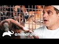 Los momentos más sobrecogedores | Wild Frank | Animal Planet Latinoamérica