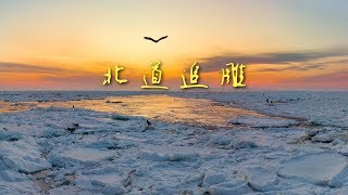 北道追雕 4K