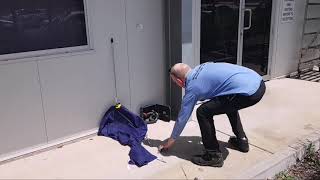 Queensland Snake Catcher Has Close Call With Red-Bellied Black Snake