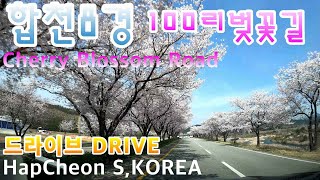 합천8경 끝없는 백리벚꽃길을 달려봤어요.여행정보채널Hapcheon 8Views Cherry Blossom Road Drive SouthKorea Travel info channel