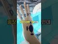 당신을 1000억 부자로 만들어줄 악마의 열매 top 3