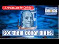 Argentina's alternative exchange rate - Understanding the Blue Dollar and how to obtain It