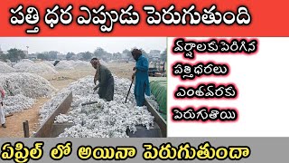 ప్రతి పత్తి రైతు చూడాల్సిన వీడియో || పత్తి ధరలు పెరుగు తున్నాయి || cotton market analysis