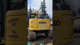 Don't Mind the Squeal| Cold Start| Kobelco 140