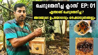 ചെറുതേനീച്ച ക്ലാസ് EP:01  |Cherutheneecha Class Ep:01 |എന്താണ് ചെറുതേനീച്ച | ചെറുതേനീച്ചയുടെ ഗുണങ്ങൾ