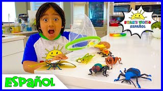 Ryan Atrapa Insectos en Casa! Aprender datos de insectos para niños!