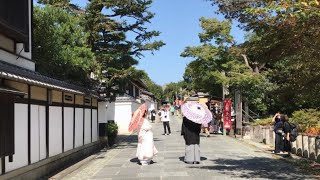 21年10月3日 快晴の日曜日の京都を歩く 清水寺,松原通,三年坂,八坂の塔,八坂庚申堂,ねねの道,八坂神社,祇園 Walk around Kyoto city,Japan vlog