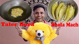 আমার সাপ্তাহিক vlog (তালের বড়া আর ভোলা মাছ)