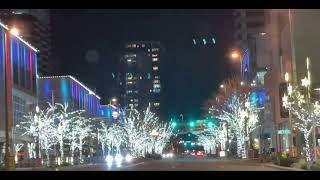 시애틀 사람이 / Bellevue Downtown Washington  State Jan 2023