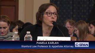 Professor Pamela Karlan references Barron Trump and later apologizes for it