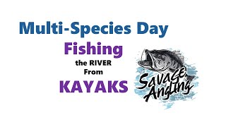 Multi Species Day - Fishing the River from Kayaks