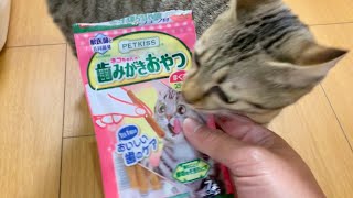 歯磨きおやつでテンションが上がってしまいました