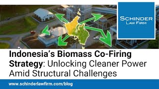 Indonesia’s Biomass Co-Firing Strategy: Unlocking Cleaner Power Amid Structural Challenges