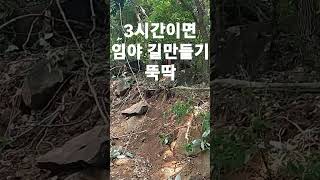 3시간 뚝딱 임야 길만들기 시작 포크레인 작업지시 맹지땅 악산도 요령있게 맹지탈출 시작