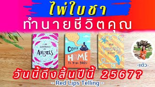 Pick A Card : ไพ่ใบชา ทำนายชีวิตคุณ วันนี้ถึงสิ้นปีนี้ 2567?