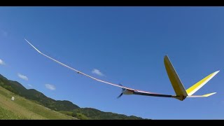 OK  模型　PILOT　ハイビスカス　初飛行　ダラダラ調整飛行