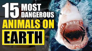 The 15 Most Ferocious Beasts On Our Planet!