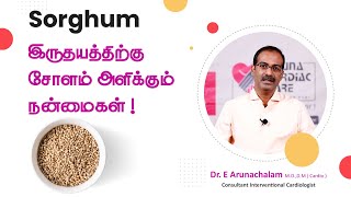 வெள்ளை சோளம் சாப்பிடுவதால் கிடைக்கும் நன்மைகள் | Health Benefits of Sorghum | Dr Arunachalam