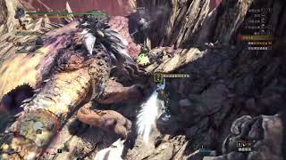 Monster Hunter World#27