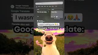 Google Translate Moment