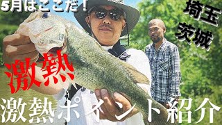 【埼玉バス釣り】5月の超絶オススメポイント紹介！【茨城バス釣り】