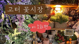 고터꽃시장 다녀왔어요(조화+소품) planterior | 고속버스터미널 꽃도매시장