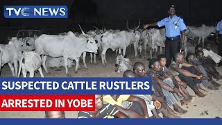 Security Operatives Arrest Two Suspected Cattle Rustlers, Recover 33 Cows