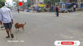 Bhootnath Road , Patna