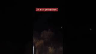 Do you believe in skinwalkers?