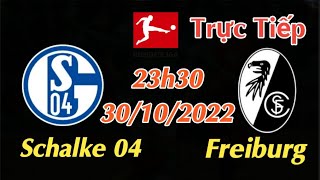Soi kèo trực tiếp Schalke 04 vs Freiburg - 23h30 Ngày 30/10/2022 - vòng 12 Bundesliga