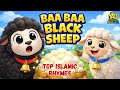 Baa Baa Black Sheep Muslim version | Islamic Nursery Rhyme #islamiccartoon #nasheed  #kids