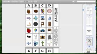 Product Preview - Initial Consonant and Short Vowel Word Sorts