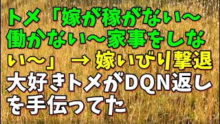 【スカッとひろゆき】トメ「嫁が稼がない～働かない～家事をしない～」 → 嫁いびり撃退大好きトメがDQN返しを手伝ってた